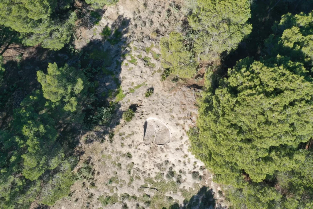 La imagen tiene un atributo ALT vacío; su nombre de archivo es arc_314387_g-1024x682.webp