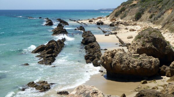 04/07/2025 - Las Playas de Barbate El Planazo - Imagen 7