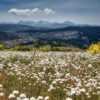 19/09/2025 GREDOS EN UN FIN DE SEMANA - Imagen 3
