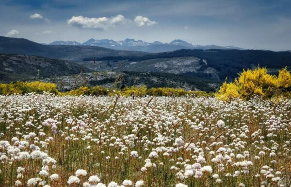19/09/2025 GREDOS EN UN FIN DE SEMANA - Imagen 3