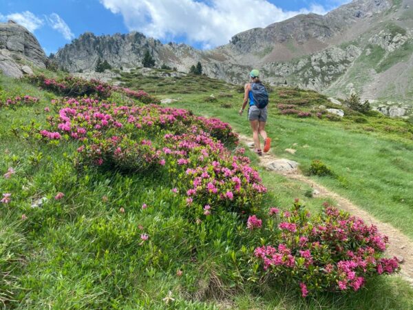 02/08/2025 - Pirineo Aragones y Frances - Imagen 6