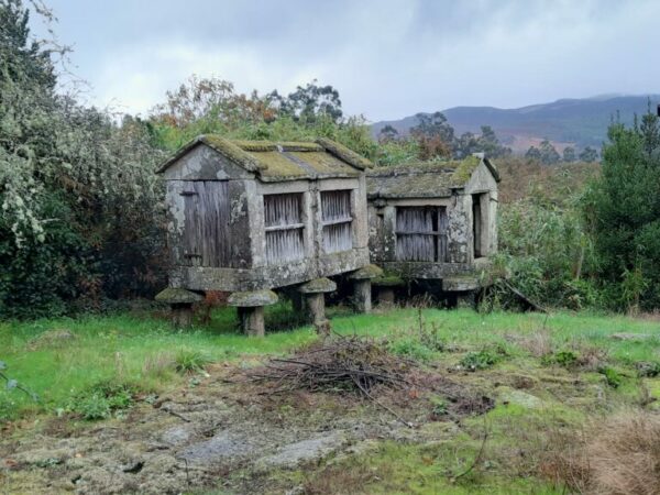 02/09/2025 - Galicia Maxica Aventura y Naturaleza - Imagen 7