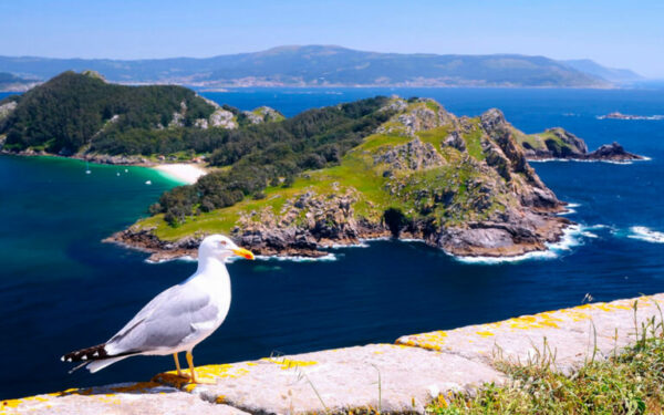 02/09/2025 - Galicia Maxica Aventura y Naturaleza - Imagen 4