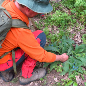 18/01/2026 - Domingo Ruta Etnobotanica con Biologo