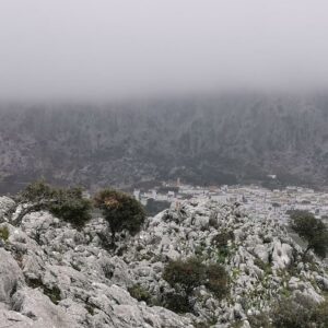 22/03/2026 DOMINGO SIERRA DE LAS VIÑAS