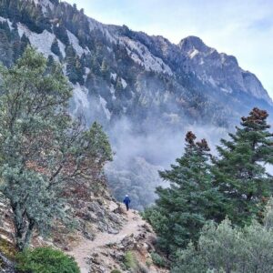 11/01/2026 - RUTA EL PINSAPAR DE GRAZALEMA