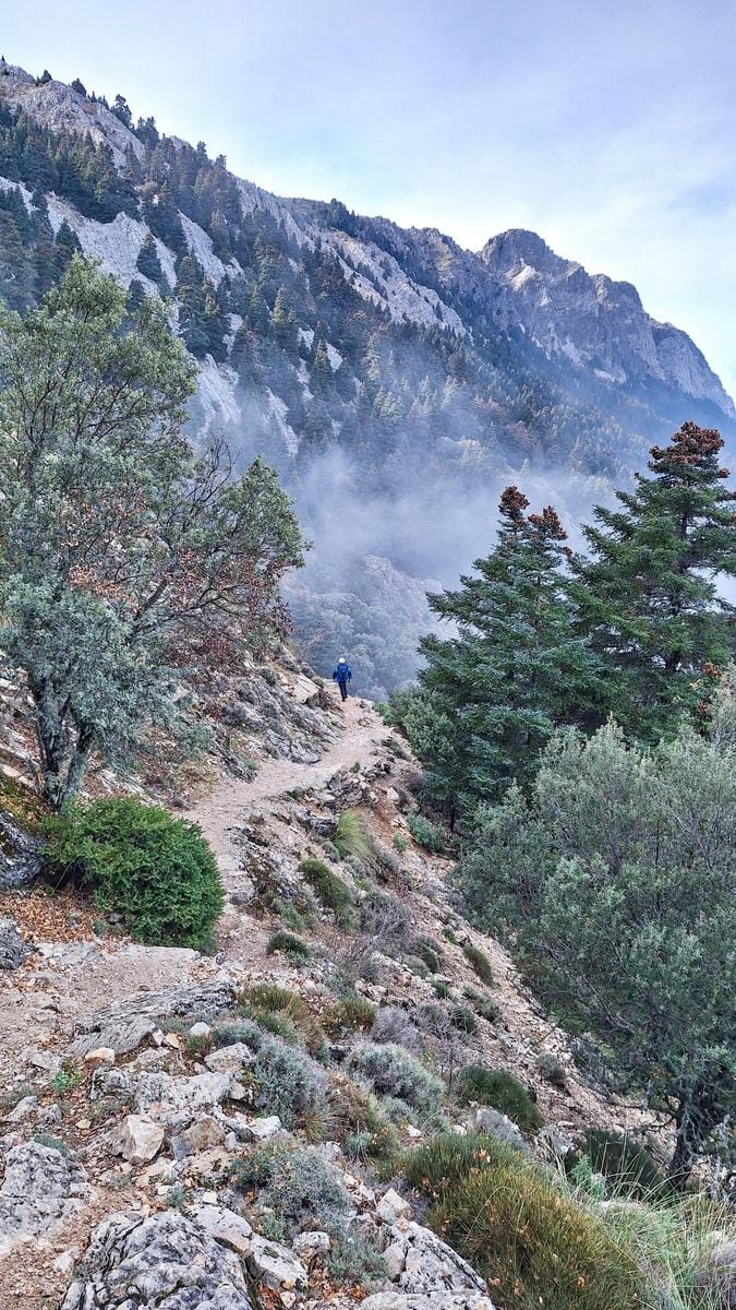 TARJETAS DE REGALO ESCAPADAS 2026 - Imagen 5