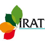 logo (12)