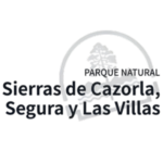 logo (2)