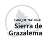 logo (3)
