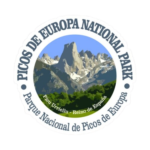 logo (4)