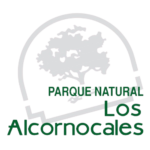 logo (9)
