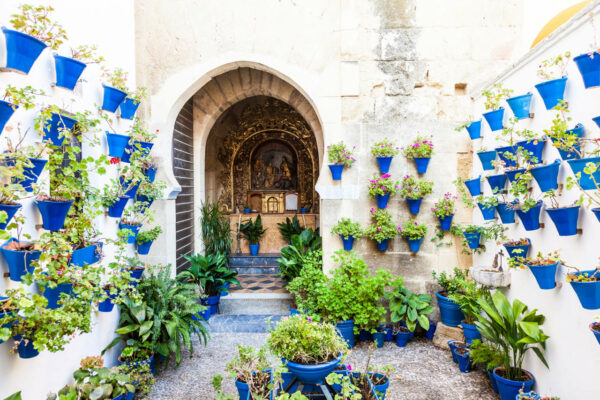 18/05/2025 - Lo mejor de los patios de Cordoba - Imagen 2