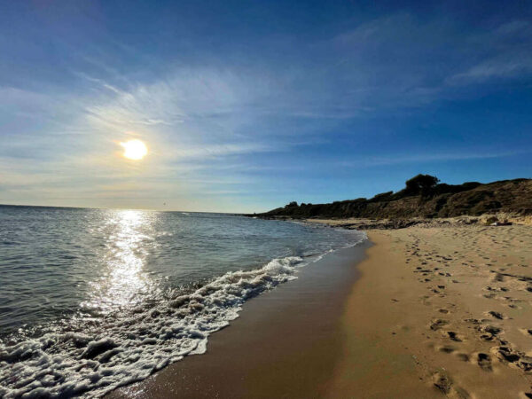 07/06/25 PLAYA ENTRE PINARES ZAHORA - Imagen 5
