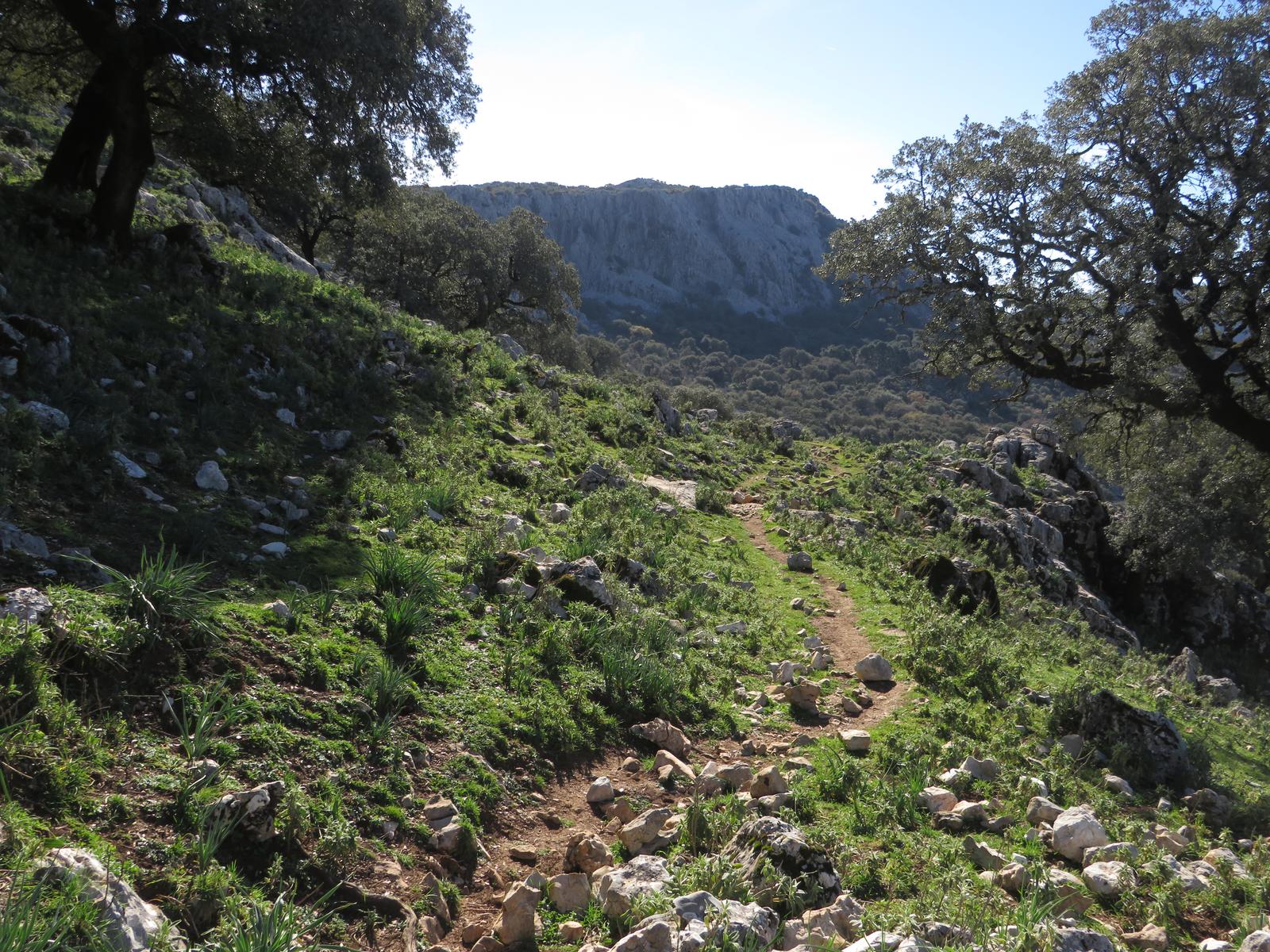 27/12/2025 SABADO EL COLLADO DE NAVAZUELO - Imagen 10