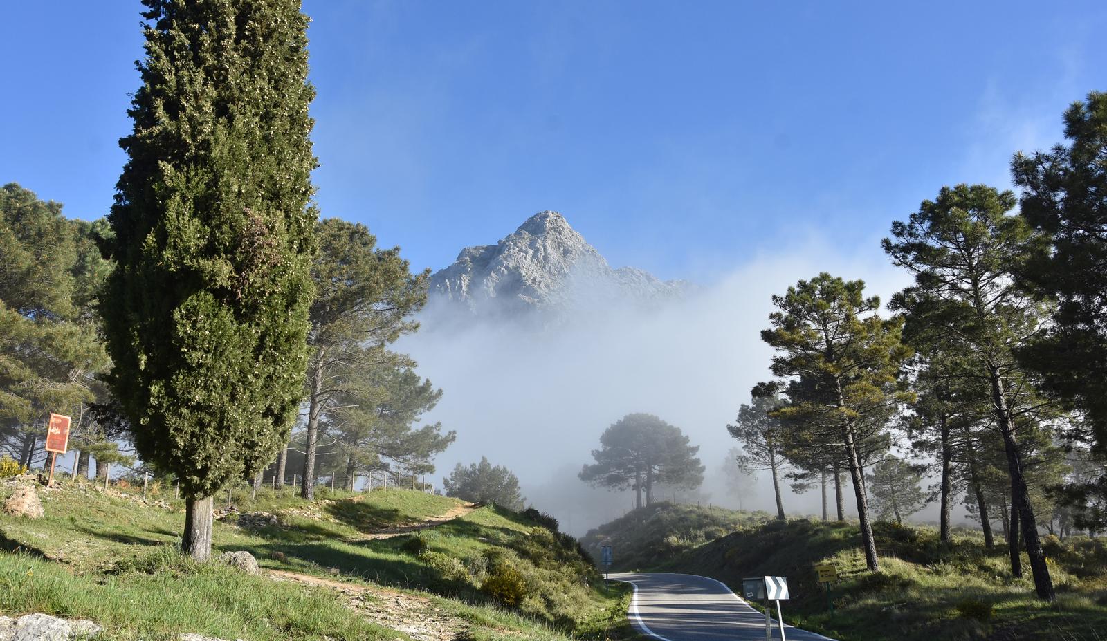 27/12/2025 SABADO EL COLLADO DE NAVAZUELO - Imagen 3