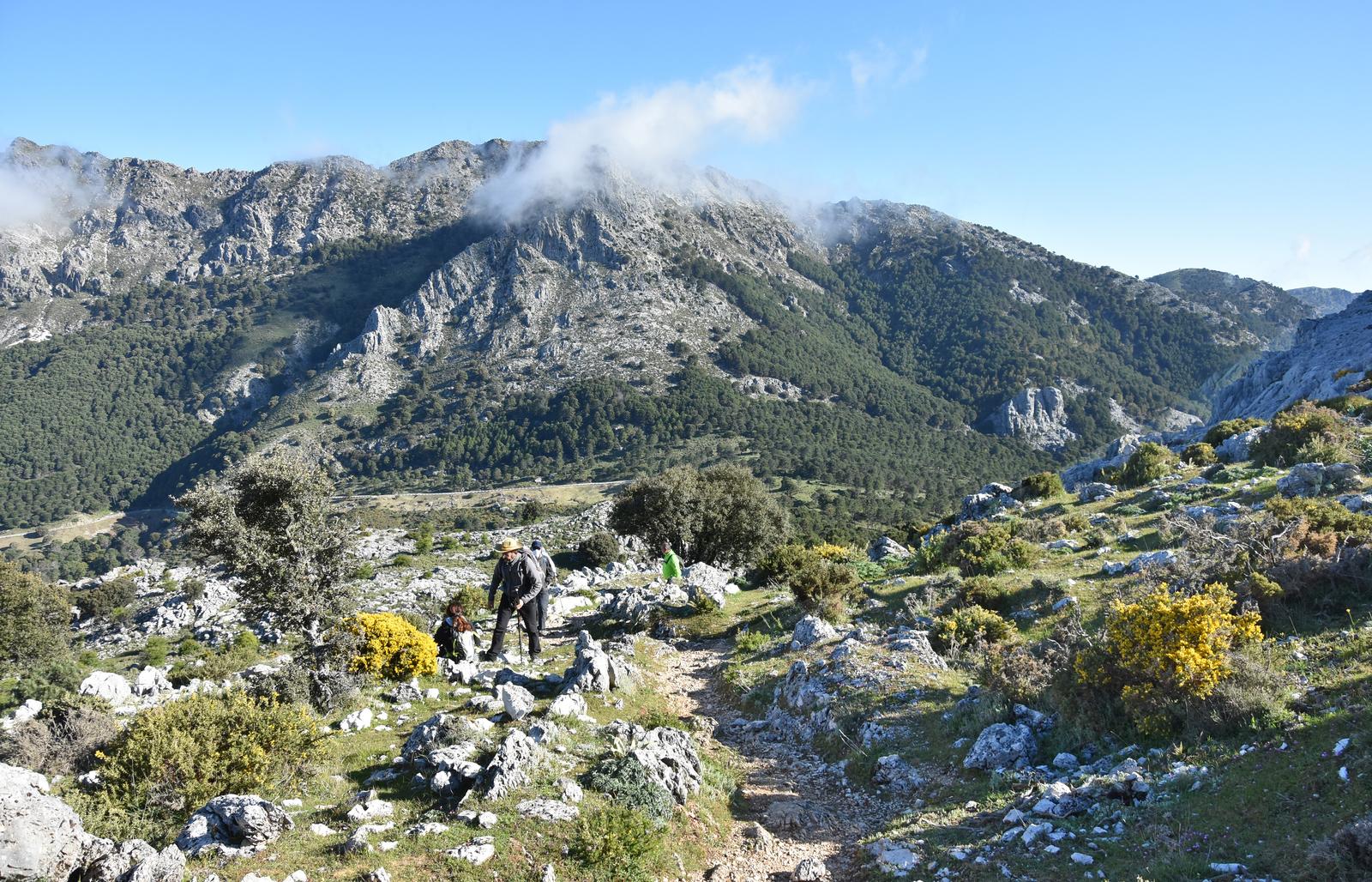 27/12/2025 SABADO EL COLLADO DE NAVAZUELO - Imagen 4