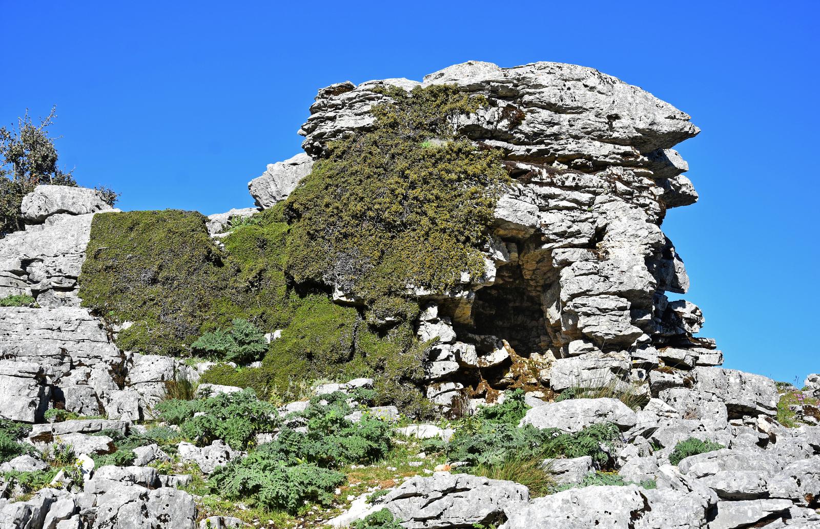 27/12/2025 SABADO EL COLLADO DE NAVAZUELO - Imagen 5