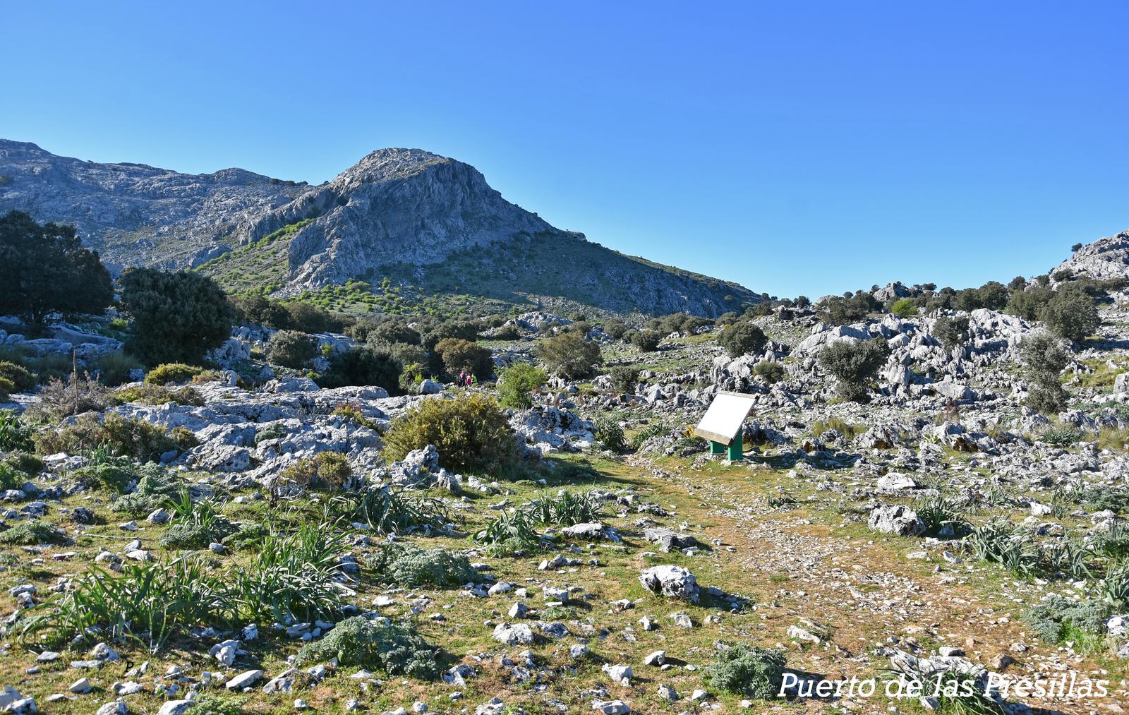 27/12/2025 SABADO EL COLLADO DE NAVAZUELO - Imagen 6