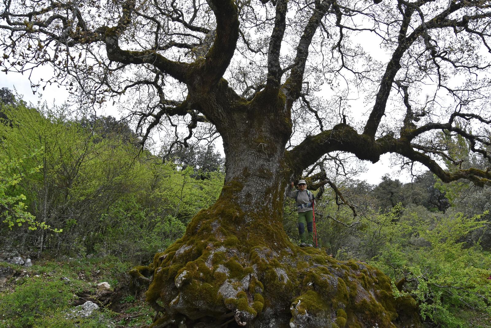 27/12/2025 SABADO EL COLLADO DE NAVAZUELO - Imagen 7