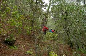 TARJETAS DE REGALO RUTAS 2026 - Imagen 2