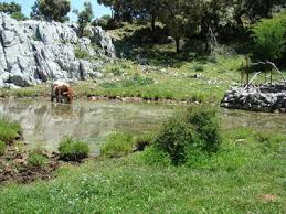 27/12/2025 SABADO EL COLLADO DE NAVAZUELO - Imagen 12