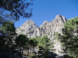 27/12/2025 SABADO EL COLLADO DE NAVAZUELO - Imagen 13