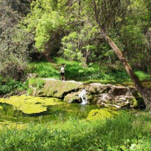 17/01/2026 CIRCULAR RIBERAS DE LAS NAVAS