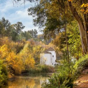 CIRCULAR LOS MOLINOS DE ALCALA GUADAIRA