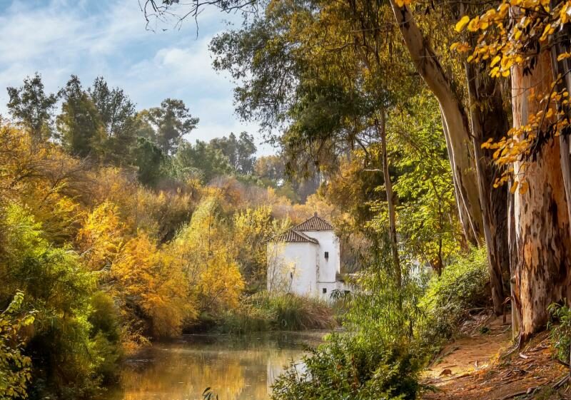 CIRCULAR LOS MOLINOS DE ALCALA GUADAIRA
