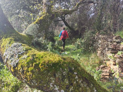 20/12/2025 CIRCULAR CUATRO ALDEAS DEL MADROÑO