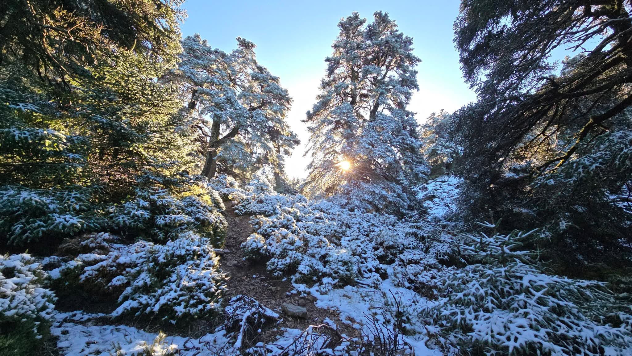 TARJETAS DE REGALO ESCAPADAS 2026 - Imagen 3