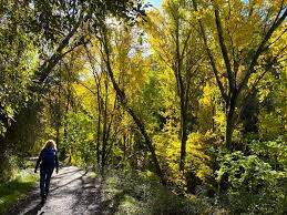 TARJETAS DE REGALO ESCAPADAS 2026 - Imagen 4