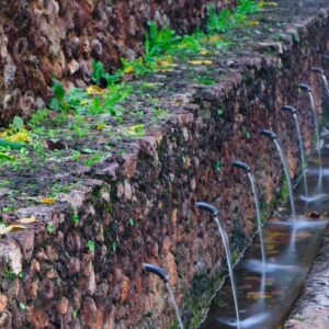 11/03/26 MIERCOLES CALABACINO ARROYOS Y CAMINOS