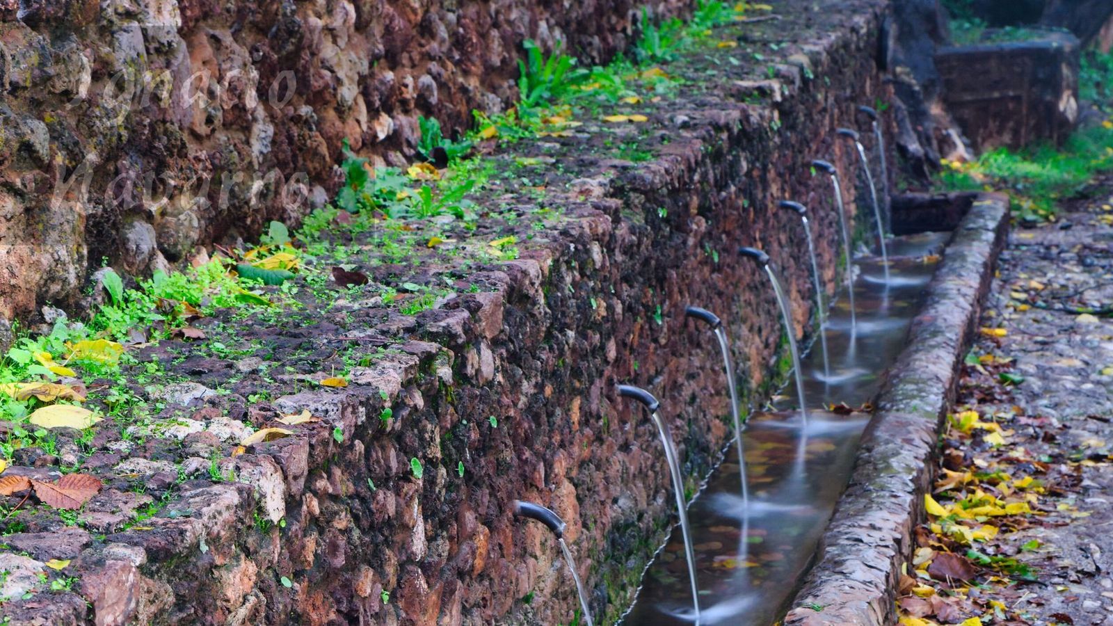 11/03/26 MIERCOLES CALABACINO ARROYOS Y CAMINOS