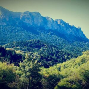 24/05/2026 Senderismo en los Llanos del Rabel: naturaleza y belleza en la Sierra de Grazalema