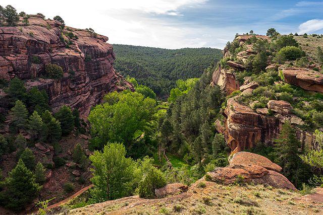 01/09/2026 LOS TESOROS NATURALES DE TERUEL - Imagen 14