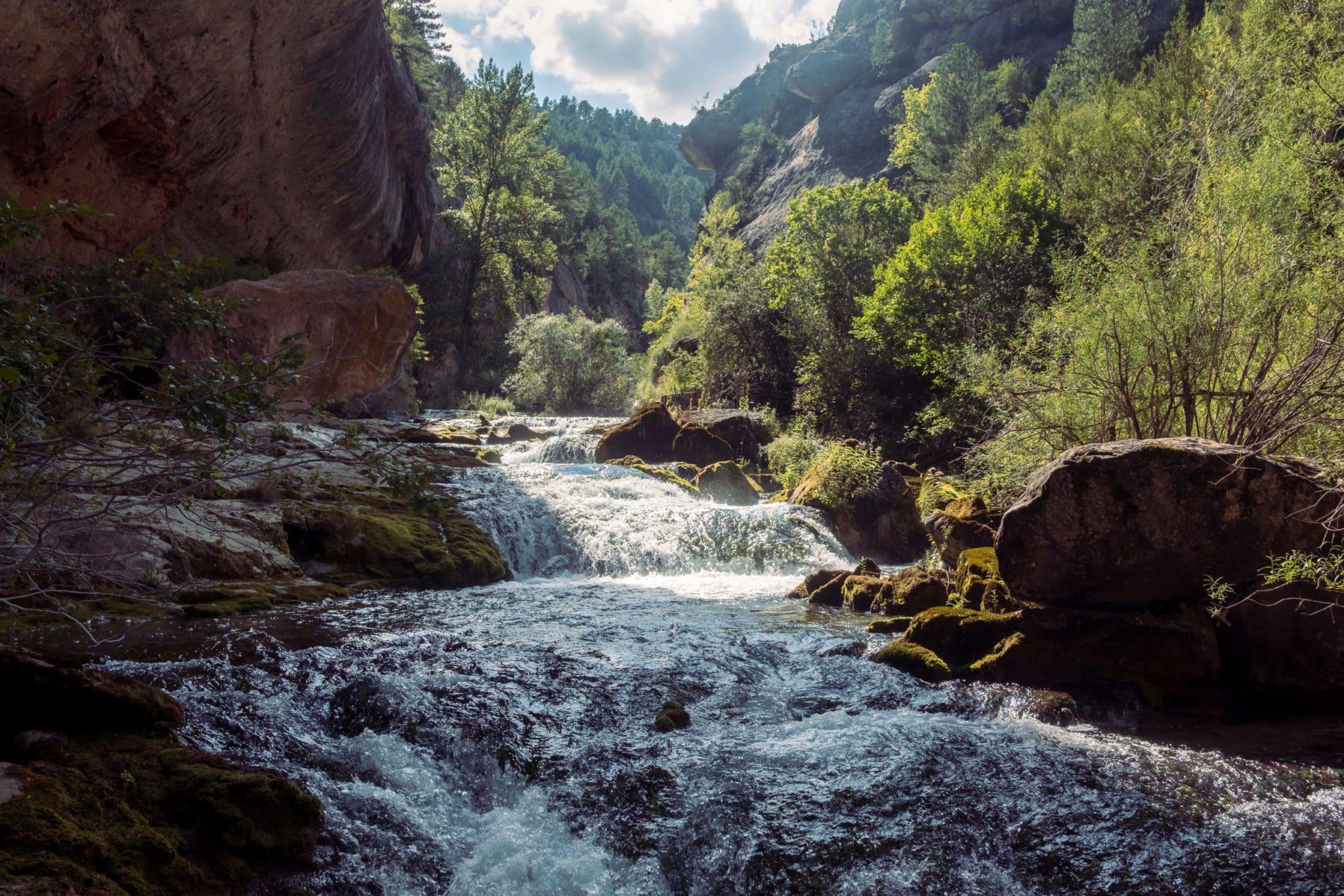 01/09/2026 LOS TESOROS NATURALES DE TERUEL - Imagen 17