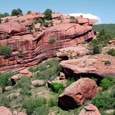 01/09/2026 LOS TESOROS NATURALES DE TERUEL - Imagen 19